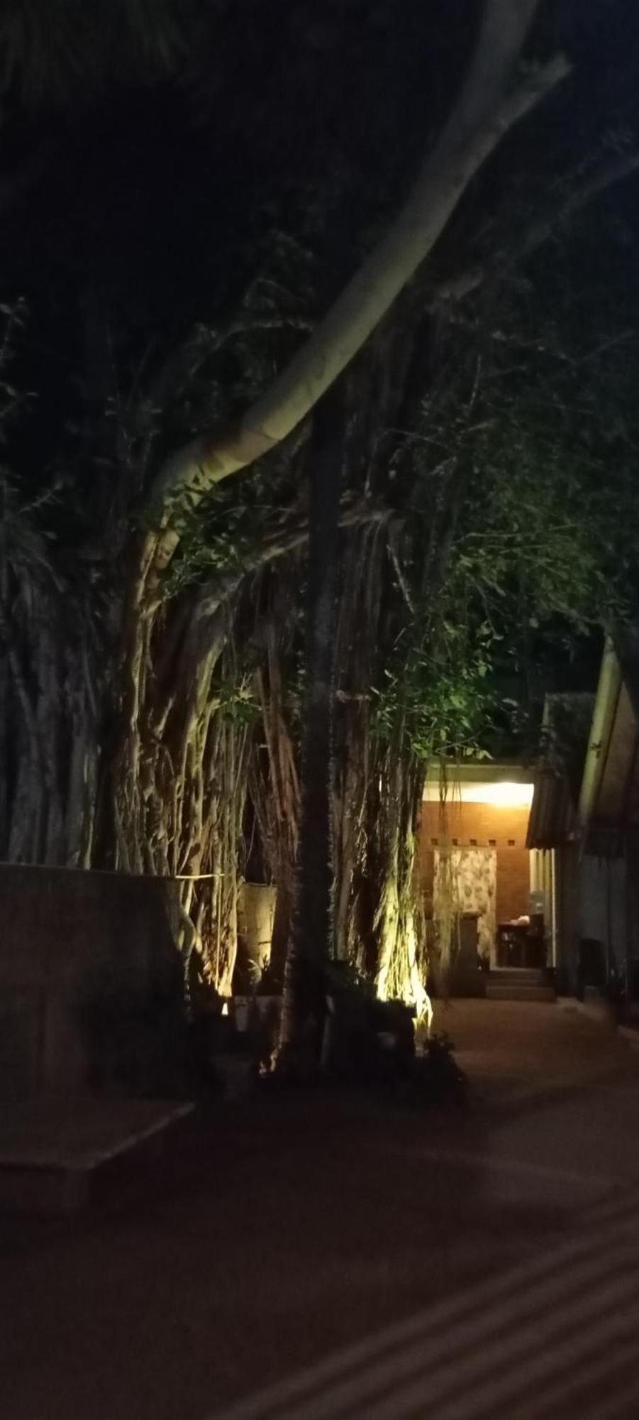 Cool Banyan Cabana 트링코말리 외부 사진
