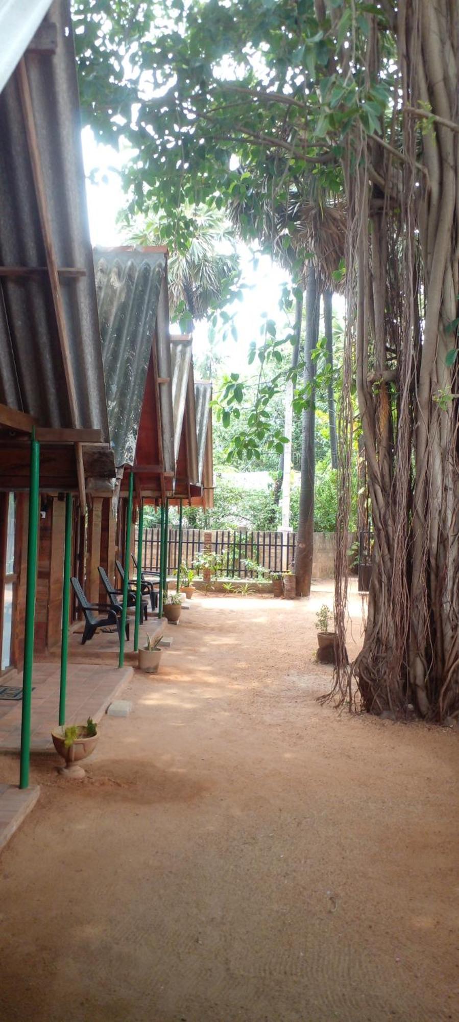 Cool Banyan Cabana 트링코말리 외부 사진